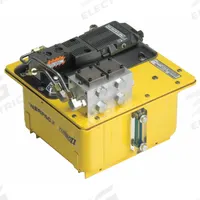 ENERPAC Air Hydraulic Pump: 5,000 psi Max. Op Pressure, 2 gal Reservoir Capacity, Pendant (MPN PACG50S8SMB2). Key specifications — attr995446: Pendant.