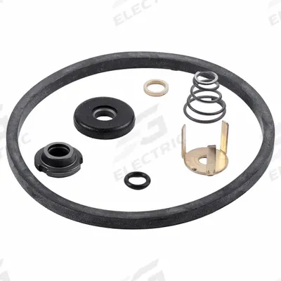 BELL & GOSSETT Seal Kit: Mfr Part # 189174LF - Seal Kits