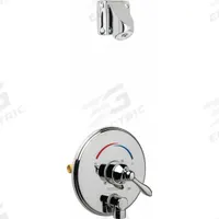 CHICAGO FAUCETS Shower Faucet: SH-TP, 2 gpm Fixed Showerhead Flow Rate, Plastic, Single Function (MPN SH-TP4-04-000). Key specifications — Showerhead Material: Plastic; Series: SH-TP.