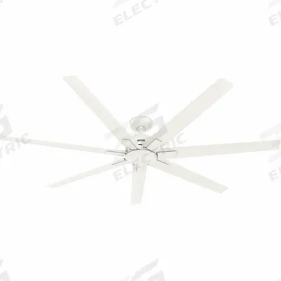 HUNTER Ceiling Fan: 6 ft Blade Dia, Fresh White - Decorative Office Ceiling Fans