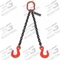 LIFT-ALL Double Leg Chain Sling: 9/32 in Chain Trade Size, 100 Chain Grade, Sling Hook, Alloy Steel (MPN 932DOSW10X20). Key specifications — attr994064: LIFT-ALL.
