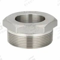 DAYTON Bung Adapter: Bung Adapter, 304 Stainless Steel, For 55 Gal Drum Container, TBD, TBD, TBD (MPN 55EC72). Key specifications — Brand: DAYTON; Body Material: 304 Stainless Steel; Product Type: Bung Adapter; For Container: 55 Gal Drum.