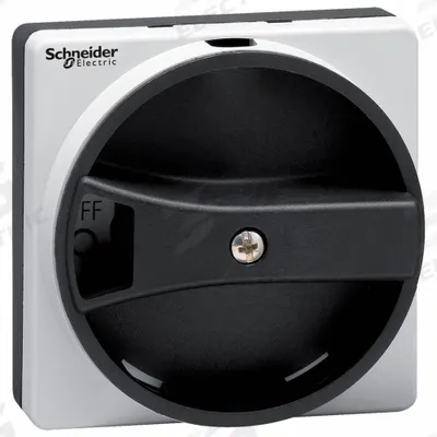 SCHNEIDER Rotary Handle: 0.2 in (5mm) Shaft Size - Switch Handles & Interlocks