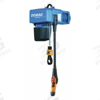 DEMAG Electric Chain Hoist: H4 - Heavy Duty, 230V AC, Hook Mounted - No Trolley, 2 Speeds (MPN DCPRO 2-250-1/1 H5). Key specifications — attr918889: DEMAG; attr918909: Chain Container; attr918925: 230V AC; attr922366: 28 in - 30 in.