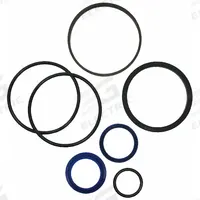 MAXIM Seal Kit: For 3 in Bore Dia, For 1 1/2 in Rod Dia, Mfr Part # 204504. Key specifications — attr1095747: 204504; attr1095757: New Style 755 Piston Seal.