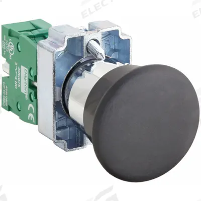 Dayton Mushroom Head Push Button: Non-Illuminated, Mushroom Head Profile, Metallic - Mushroom-Head Push Buttons