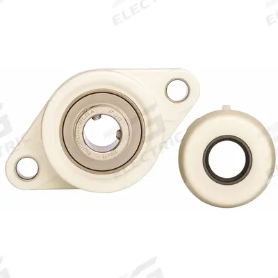 NTN 2 Bolt Flange Bearing: Radial Ball, 3/4 in Bore, Polymer, Set Screws - Food-Grade Flange-Mount Ball Bearings