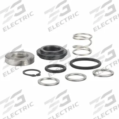 FILL-RITE Shaft Seal Kit: Shaft Seal Kit - Seals & Gaskets for Fuel & DEF Transfer Pumps