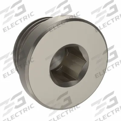 LEGRIS Plug: Hex Drive Cored Plug, 1/8 in, BSPP Threaded, Nickel-Plated Brass - Threaded Medium-Pressure Pipe Fittings