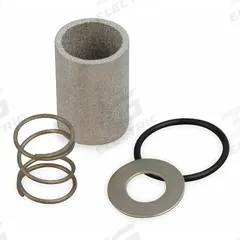 PARKER Inline Filter Repair Kit: KIT-F4-10-V