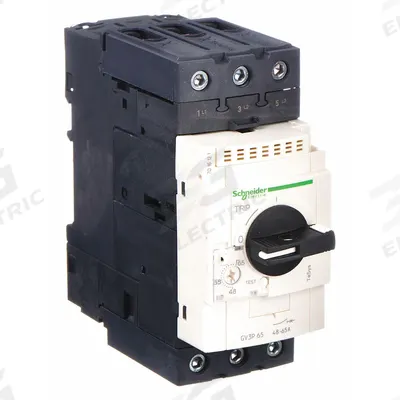 SCHNEIDER Manual Motor Starter: Non-Reversing, 3 Poles, 65 A, Thermal Protection - Non-Reversing Starters with Thermal Overloads