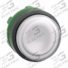 SCHNEIDER Extended Push Button: 22 mm Mounting Size, Non-Metallic, Momentary (MPN ZB5AW113). Key specifications — Brand: SCHNEIDER; Action: Momentary; Series: XB5; Push Button Material Type: Non-Metallic.
