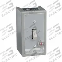 SQUARE D Manual Motor Switch: 2 Poles, 30 A, 1 NEMA Rating, Pilot Light: Red Light (230V AC) (MPN 2510KG1B). Key specifications — Brand: SQUARE D; Maximum Voltage Rating: 230V DC; Mounting Style: Surface; Pilot Light: Red Light (230V AC); Enclosure Material: Painted Steel.
