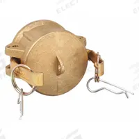 Dust Cap: 2 in Coupling Size, 250 psi Max. Working Pressure @ 70 F, 3 1/8 in Overall Lg, Nitrile (MPN G200-DC-BR). Key specifications — Gasket Material: Nitrile; Brand: DIXON VALVE & COUPLING.