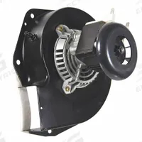 PACKARD Induced Draft Furnace Blower: Furnace, 115V AC (MPN 66590). Key specifications — Replacement For Manufacturer Model Number: 7002-3036; Brand: PACKARD; Manufacturer Part Number: 66590; Compatible with Brand: Goodman; Nameplate Voltage: 115V AC.