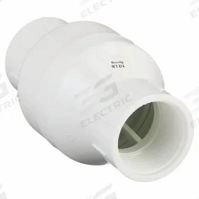 Dayton Spring Check Valve: Inline Valve Body, 2 in Pipe Size, IPT x IPT, PVC - PVC Poppet Check Valves