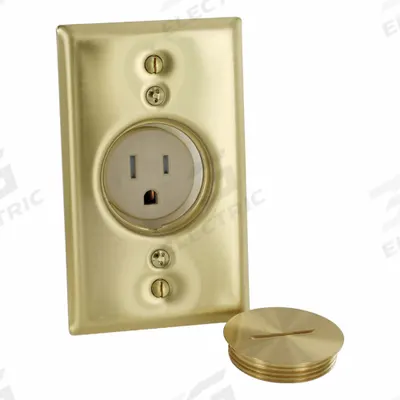 LEVITON Plugs and Receptacles: Single, 5-15, Ivory, 125V AC, 15 A, 2 Pole / 3 Wire (MPN T5250-B) - General Purpose Receptacles