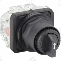 DAYTON Selector Switch: 30 mm Panel Mounting Size, 2 Positions, Extended Lever, 2NO/2NC (MPN 31XH91). Key specifications — AC Contact Rating: 10 A @ 600 V; Action: Maintained/Maintained; Cam: E; DC Contact Rating: 0.55 A @ 125 V; Hazardous Location Specification: Not Rated; Operator Head Material: Plastic; Operator Head Type: Long-Handled Knob; Operator Illumination: Non-Illuminated.