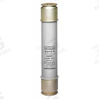 MERSEN Medium Voltage Fuse: A480R Series, R-Rated, 4.8 kV AC, 200 A, Time-Delay, Indicating (MPN A480R9R-1). Key specifications — Series: A480R; Brand: MERSEN.