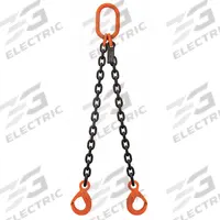 STREN-FLEX Chain Sling: 3/8 in Chain Trade Size, 100 Chain Grade, Latching Hook, Alloy Steel, Fixed (MPN SF1203G10DOL). Key specifications — attr994064: STREN-FLEX.