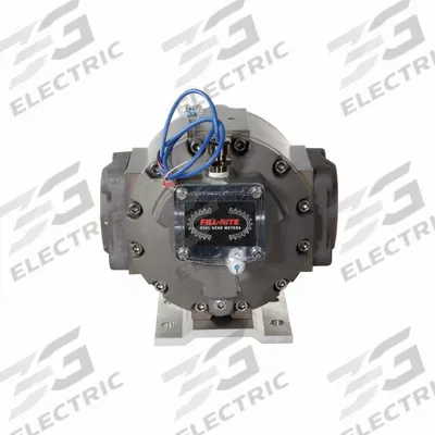 FILL-RITE Positive Displacement Flowmeter,2 in Sz (MPN TS20AW04AVTAN) - Meters for Fuel Transfer Pumps