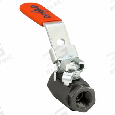 DYNAQUIP CONTROLS Manual Two-Way Ball Valve: 3/8 in, Carbon Steel, Straight, FNPT x FNPT - Carbon Steel Ball Valves