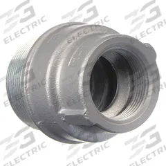Sealing Hubs - Vertical: Iron, 1 1/4 in_2 in Trade Size, Male to Female, 3 1/8 in Overall Lg (MPN ES200125). Key specifications — Brand: APPLETON ELECTRIC; Connection Type: Threaded; Thread Size: 2 in; Thread Gender: Male to Female; Ends - Hazardous Fittings: 1-1/4 in FNPT x 2 in MNPT; Material: Iron; Hazardous Location Rating: Class III; Thread Type: NPT.