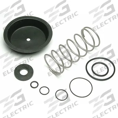 WILKINS Valve Repair Kit: Rubber - Valve Repair Kits