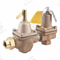 WATTS Combination Fill and Relief Valve: Iron, 30 psi Factory Set Pressure, Union Solder x FNPT (MPN S1450F). Key specifications — Body Material: Iron; Brand: WATTS.