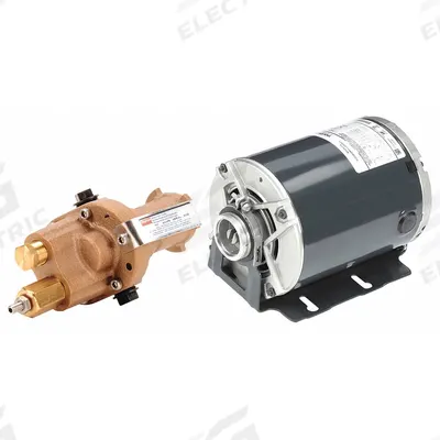 Dayton Rotary Gear Pump: Direct Drive, 1/2 hp Horsepower, 115/230V AC, Bronze Body - Direct-Drive Rotary Gear Pumps