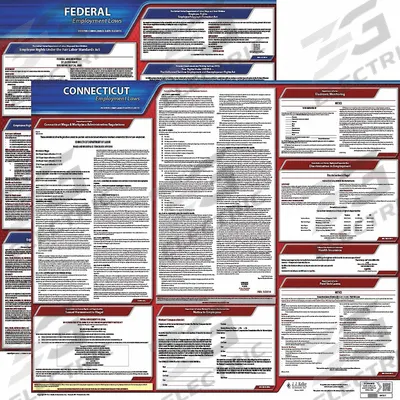 JJ KELLER Labor Law Poster: CT, English, Plastic, 30 in x 24 in - State & Federal Labor Law Poster Sets
