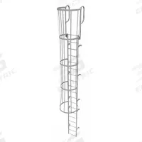 TRI-ARC Fixed Ladder with Safety Cage: 22 ft Overall Ht, 18 in Overall Wd, Steel, 19 Rungs (MPN WLFC1219). Key specifications — attr1050722: TRI-ARC; attr1050760: Unassembled; attr1083696: 2.