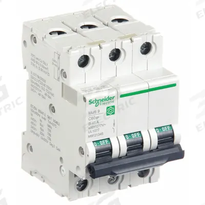SCHNEIDER Supplementary Protector: 45 A Amps, 10kA at 240V AC, Screw Clamp - B-Curve, 3-Pole UL1077 DIN Rail-Mount Supplementary Protectors