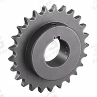TRITAN Roller Chain Sprocket: 60, For 3/4 in Chain Pitch, 1 15/16 in Bore Dia, 25 Teeth, Steel (MPN 60BS25H X 1 15/16). Key specifications — Brand: TRITAN.