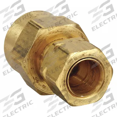 PARKER Compression Fitting Adapter: 1/8 in OD x 1/8 in Pipe Fitting Size, Compression x FNPTF - Self-Aligning Brass Compression Fittings