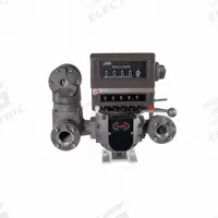 Positive Displacement Flowmeter,2 in Sz (MPN TS20AV13ATCBMXAS4N). Key specifications — Display Type: Mechanical; Unit Of Measure: Gallons; Brand: FILL-RITE; Manufacturer Part Number: TS20AV13ATCBMXAS4N; Housing Material: Anodized Aluminum; Accuracy: +/-0.5%.