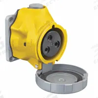 HUBBELL Pin and Sleeve Receptacle: Yellow, 100 to 130V AC, Single Phase, 32 A, 2 Pole, 3 Wire (MPN HBLS332R4W). Key specifications — Brand: HUBBELL; Voltage Rating: 100 to 130V AC.