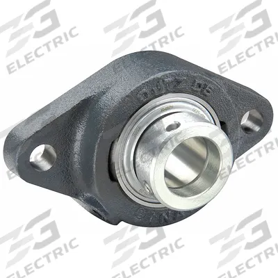 INA 2 Bolt Flange Bearing: Radial Ball, 25 mm Bore, Cast Iron, Eccentric Collar - General Purpose Flange-Mount Ball Bearings