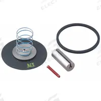DAYTON Valve Rebuild Kit: Mfr Part # 066047. Key specifications — Includes: Spring; Product Type: Valve Repair Kit; Brand: DAYTON; Manufacturer Part Number: 066047.