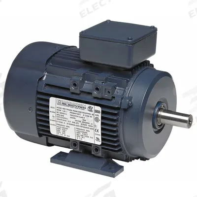 LEESON Metric Motor: 3 hp, Rigid Base Mount, 90S Frame Size, Totally Enclosed Fan Cooled - Rigid Base 3-Phase IEC Metric General Purpose AC Motors