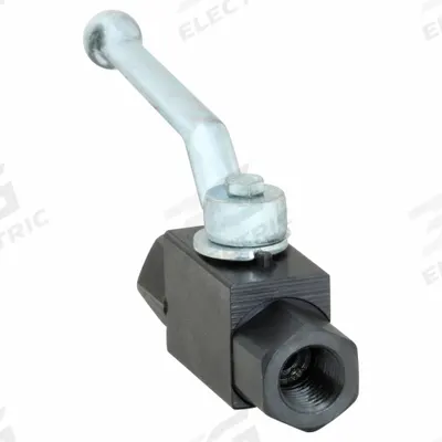 DYNAQUIP CONTROLS Manual Two-Way Ball Valve: 1/4 in, Carbon Steel, Straight, FNPT x FNPT - Carbon Steel Ball Valves