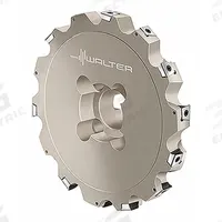 WALTER Indexable Slitting Cutter: F4253.BN40.160.Z06.20R (MPN 5325563). Key specifications — attr257007: F4253.BN40.160.Z06.20R.