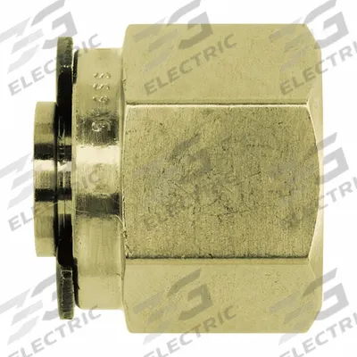 BRENNAN INDUSTRIES Compression Fitting Plug: 3/8 in OD Size, Tube - Clean & Bagged Double-Ferrule Brass Compression Fittings