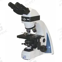 LW SCIENTIFIC Epifluorescence Microscope: Flourescence, Binocular, 40X to 1000X, Std, 1000X, LED (MPN i4S-EPB4-iSL3). Key specifications — Stand Type: Standard; Base Dimensions: 7-3/4 in x 10-3/4 in; Brand: LW SCIENTIFIC; Eyepiece Protractor: No; Maximum Magnification Capability: 1000X; Optical Magnification: 40X to 1000X; Working Distance: 0.3 mm to 20 mm.