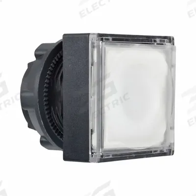 SCHNEIDER Flush Push Button: 22 mm Mounting Size, Non-Metallic - Illuminated Flush-Mount Push-Button Operators