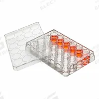 GLOBE SCIENTIFIC Well Plate: Sterile, 24 Wells, 0.57 mL, RNase/DNase Free, Tissue Culture Treated (MPN TC-PLT-24-NT). Key specifications — Brand: GLOBE SCIENTIFIC; Body Color: Colorless; RNase/DNase Free: Yes; Well Shape: Square; Material: Polystyrene.