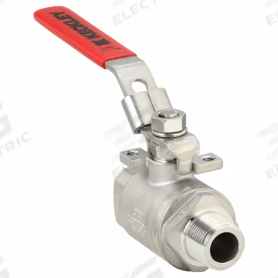 KECKLEY Manual Two-Way Ball Valve: 3/4 in, Stainless Steel, Straight, MNPT x FNPT - Stainless Steel Ball Valves
