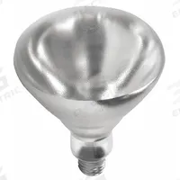 SHAT-R-SHIELD Incandescent Bulb: Incandescent, R40, Medium Screw (E26), 250 W Watt, 2700K, Clear (MPN 01697W). Key specifications — Bulb Finish: Clear; Color Temperature: 2700K; Shatter-Resistant: Yes; Brand: SHAT-R-SHIELD; Voltage: 120V AC; Bulb Shape: R40.