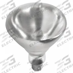 SHAT-R-SHIELD Incandescent Bulb: Incandescent, R40, Medium Screw (E26), 250 W Watt, 2700K, Clear (MPN 01697W). Key specifications — Bulb Finish: Clear; Color Temperature: 2700K; Shatter-Resistant: Yes; Brand: SHAT-R-SHIELD; Voltage: 120V AC; Bulb Shape: R40.