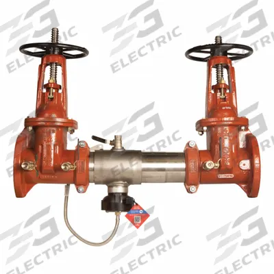 Watts Reduced Pressure Zone Backflow Preventer: 957, with Flood Detection Sensor - Watts RPZ Backflow Preventers
